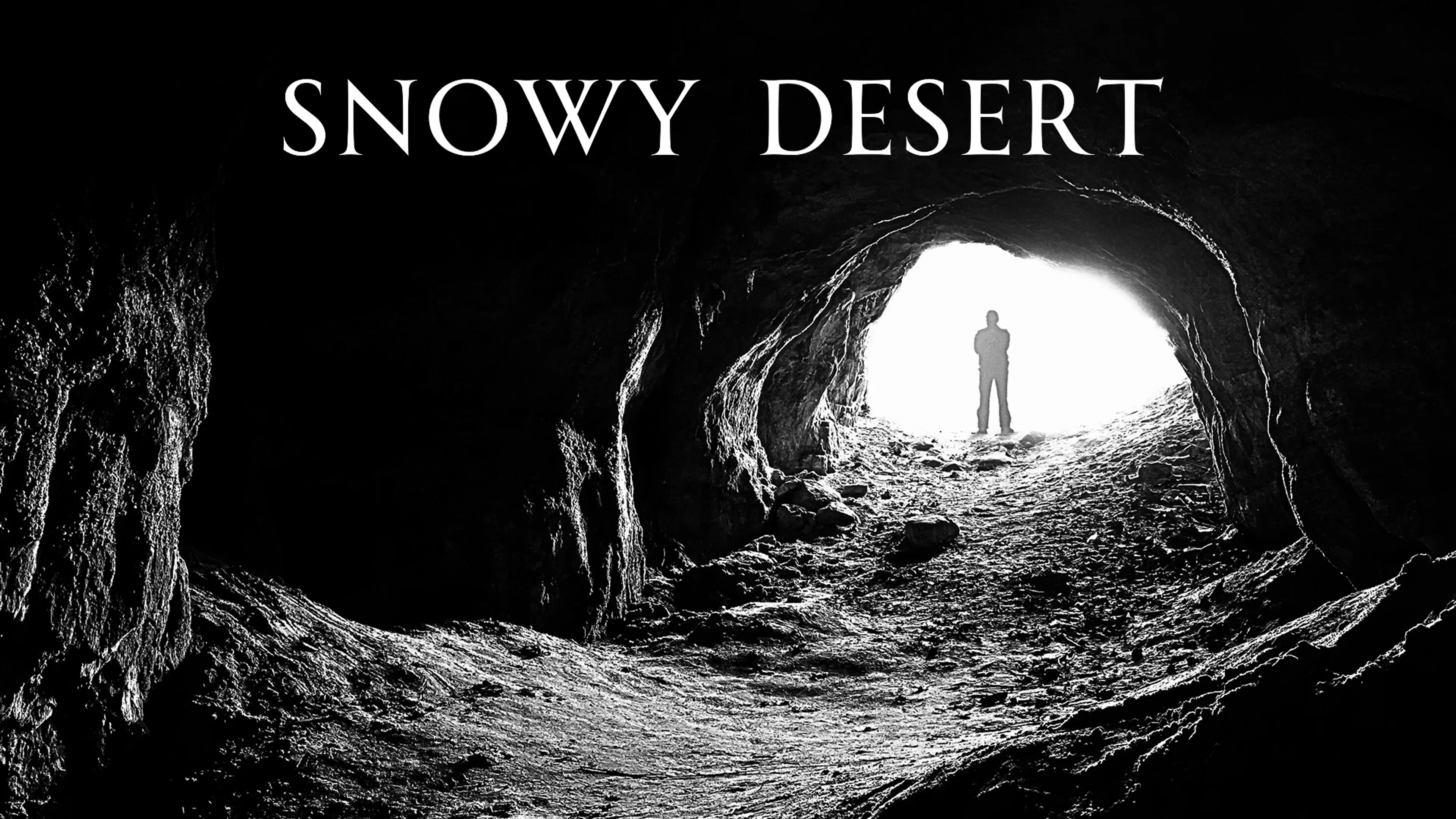 Snowy Desert poster